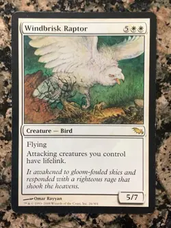 MTG Windbrisk Raptor x1 Shadowmoor, Magic the Gathering - Image 1