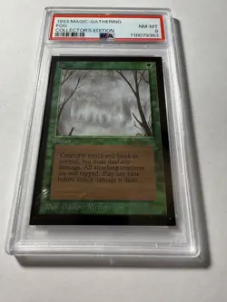 MTG Collector's Edition 1993 Fog PSA 8 NM-MT Near Mint - Mint Vintage - Image 1