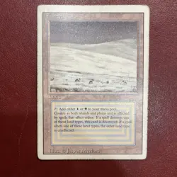 Magic: The Gathering. Tundra Revised Edition Regular - Image 2