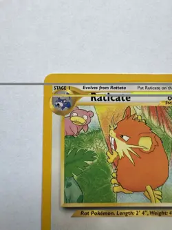 Wizards of the Coast Southern Islands Raticate 06/18 Stage 1 60 HP Promo - Image 2