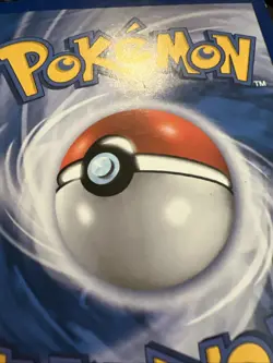 Pokemon HeartGold & SoulSilver Alph Lithograph One - SEE PHOTOS FOR CONDITION - Image 4