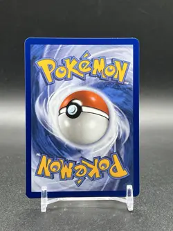 Pokemon First Partner Illustration Collection Series 1 Kanto Gen 1 Starters NM - Image 4