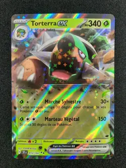Carte Pokemon : Torterra Ex Ultra Rare 2024 Forces Temporelles 012/162 NM 🇲🇫 - Image 1