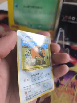 Pokemon Karte Card Vending expansion sheet glossy japanese Tauros NM- - Image 4