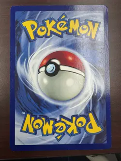13 Pokemon Japanese Vintage Jumbo Card Lot Pikachu Mewtwo Charizard & More - Image 2