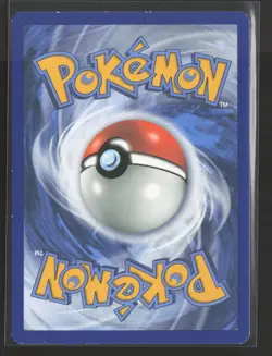 Eevee 155/214 Common Lost Thunder Pokemon Near Mint - Image 2