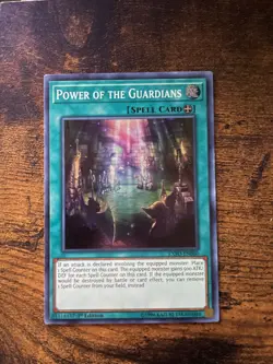 Power of the Guardians - EXFO-EN060 - 1st Edition - Super Rare - LP - Image 1