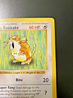 Raticate 40/102 1st Edition Shadowless Base Set NM Light Stamp - Pokemon Card - Image 3
