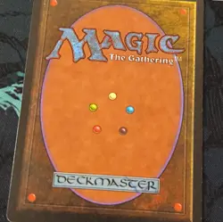 Magic: The Gathering Savannah Land Revised Edition Rare Regular - Image 3