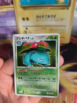 Pokemon Karte Card Holo Venusaur Bisaflor Lv. 51 Secret Wonders 1. japanese Exc - Image 5