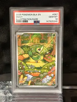 Pokemon Snivy 087/086 Sv: Black Bolt Illustration Rare Holo EN 2025 PSA 10 - Image 1