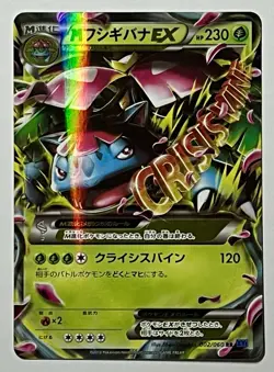 M Venusaur EX 002/060 RR (NM) XY Series: Collection X 2015 Japanese Pokemon Card - Image 1