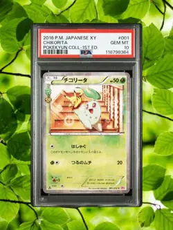 Pokemon Card Chikorita Pokekyun Collection 1st Edition 2016 PSA10 Japanese - Image 1