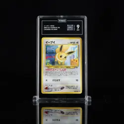 2000 Pokemon - イーフイ EEVEE CROSSING THE RUINS #133 (Japanese) - TAG 9 - Image 1