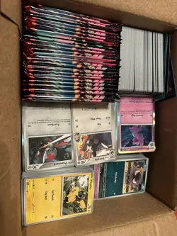 Ascended Heroes Bulk Lot Pokemon TCG Cards over 150 packs Worth Of Cards. ￼ - Image 1
