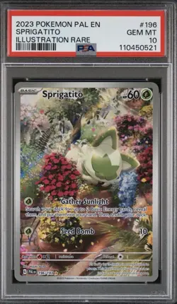 PSA 10 Sprigatito Illustration Rare 196/193 Pokemon Paldea Evolved 💎 - Image 3