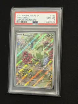 PSA 10 Sprigatito Illustration Rare 196/193 Pokemon Paldea Evolved 💎 - Image 5