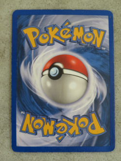Pokemon TCG Rapidash Fire Red Holo Rare Card 13/112 - Image 2