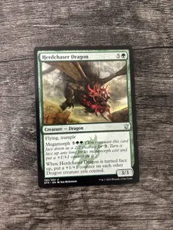 MTG 1x Herdchaser Dragon x1 LP Dragons of Tarkir - Image 1