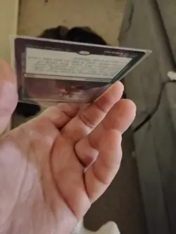 Sylvan Library Commander Collection: Green Regular - Image 3