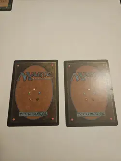 Whirling Dervish Foreign X2 - Image 2