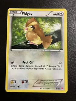 Pokemon Pidgey 29/30 XY Trainer Kit : Bisharp & Wigglytuff Pokemon 2014 - Image 1