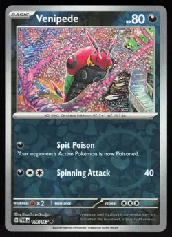 Venipede 115/167 Common Twilight Masquerade Pokemon Reverse Holo Near Mint - Image 1
