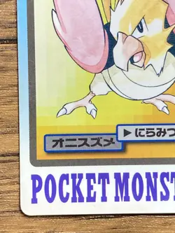 Pokemon Carddass Card Spearow File No.21 Bandai Pocket Monsters 1997 Japan - Image 5