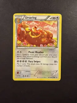 Ursaring RC16/RC25 Radiant Collection Pokemon Card Common Legendary Treasures HP - Image 1