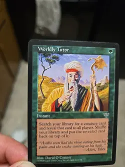 Worldly Tutor Mirage Regular - Image 2