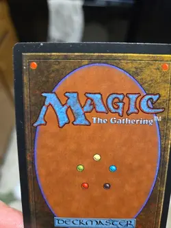 Worldly Tutor Mirage Regular - Image 4