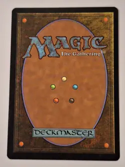 Lightwielder Paladin - Magic 2010 Core Set M10 - Magic the Gathering MTG Nice! - Image 2