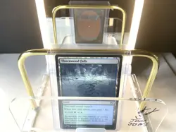 MTG Magic the Gathering Thornwood Falls (269/471) Tarkir Dragonstorm NM - Image 1