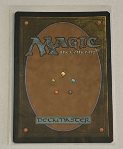 MTG Hushwood Verge - Foil - Duskmourn - #261 - Image 2