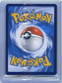 2026 Pokemon Chinese PROMO 020/30th-P 30th Anniversary Litten Holo Sealed - Image 2