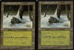 Vintage Magic The Gathering (MTG) : Ice Age : 2X Snow Covered Forest - Image 1