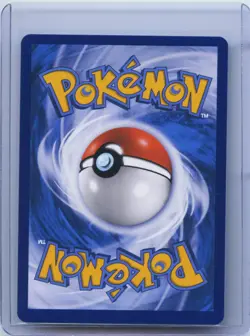 2023 Pokemon Chinese csDC E 024/024 Full Art Flying Pikachu VMAX Holo NM - Image 2