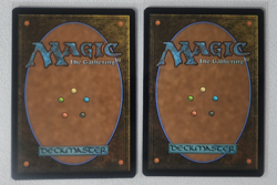2x GRAVE RESEARCHER - 1x Reg 1x Ext Art - Secrets of Strixhaven - MTG Rare - Image 2