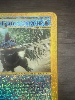 2002 Pokemon TCG Feraligatr Expedition Reverse Holo Jumbo Box Topper Card 2/12 - Image 5