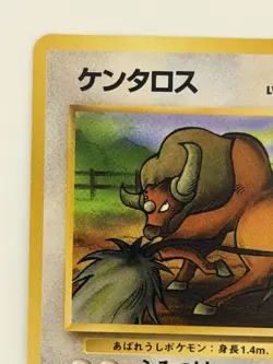 Tauros No.128 vintage Old back Japanese Pokemon card From Japan - Image 2