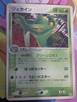 SCEPTILE 063/PCG-P - MP - MEIJI PCG PROMOS JAPANESE 2004 POKEMON CARD - Image 1