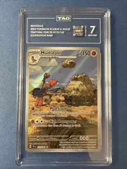 Mudsdale 175/162 Illustration Rare 2024 Pokemon Temporal Forces TAG 7 Near Mint - Image 1