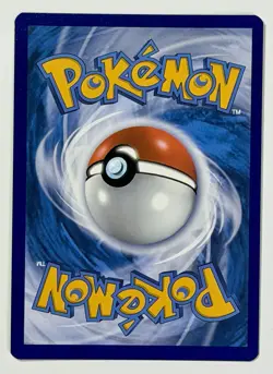 Pokemon TCG - Cyndaquil - Black Star Promo - 2022 SWSH221 Spring Collector Chest - Image 4