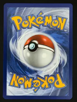 Decidueye ex 100/088 Holo Ultra Rare Perfect Order Pokemon Near Mint - Image 2