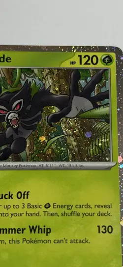Zarude Swirl Cosmos Holo 199 Holo Rare Scarlet & Violet Promo Pokemon NM - Image 2