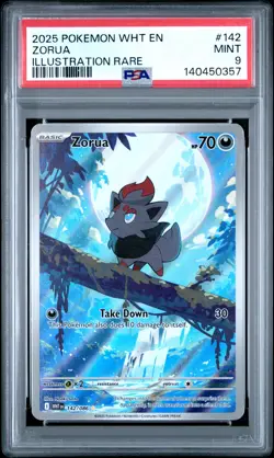 2025 POKEMON WHT EN-WHITE FLARE ILLUSTRATION RARE #142 ZORUA PSA 9 - Image 1