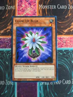 Yu-Gi-Oh! Glow-Up Bulb SDCL-EN021 1st Edition Common NM - Image 1