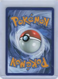 Shuckle 136/132 Illustration Rare Mega Evolution Pokemon Near Mint - Image 2