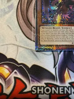 Blackwing Simoon the Poison Wind Quarter Century Secret Rare Card RA01-EN012 1st - Image 4