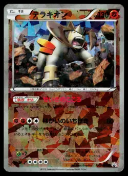 Terrakion 155/BW-P Promo Freeze Bolt Cold Flare Pokemon Japanese Heavily Played - Image 1